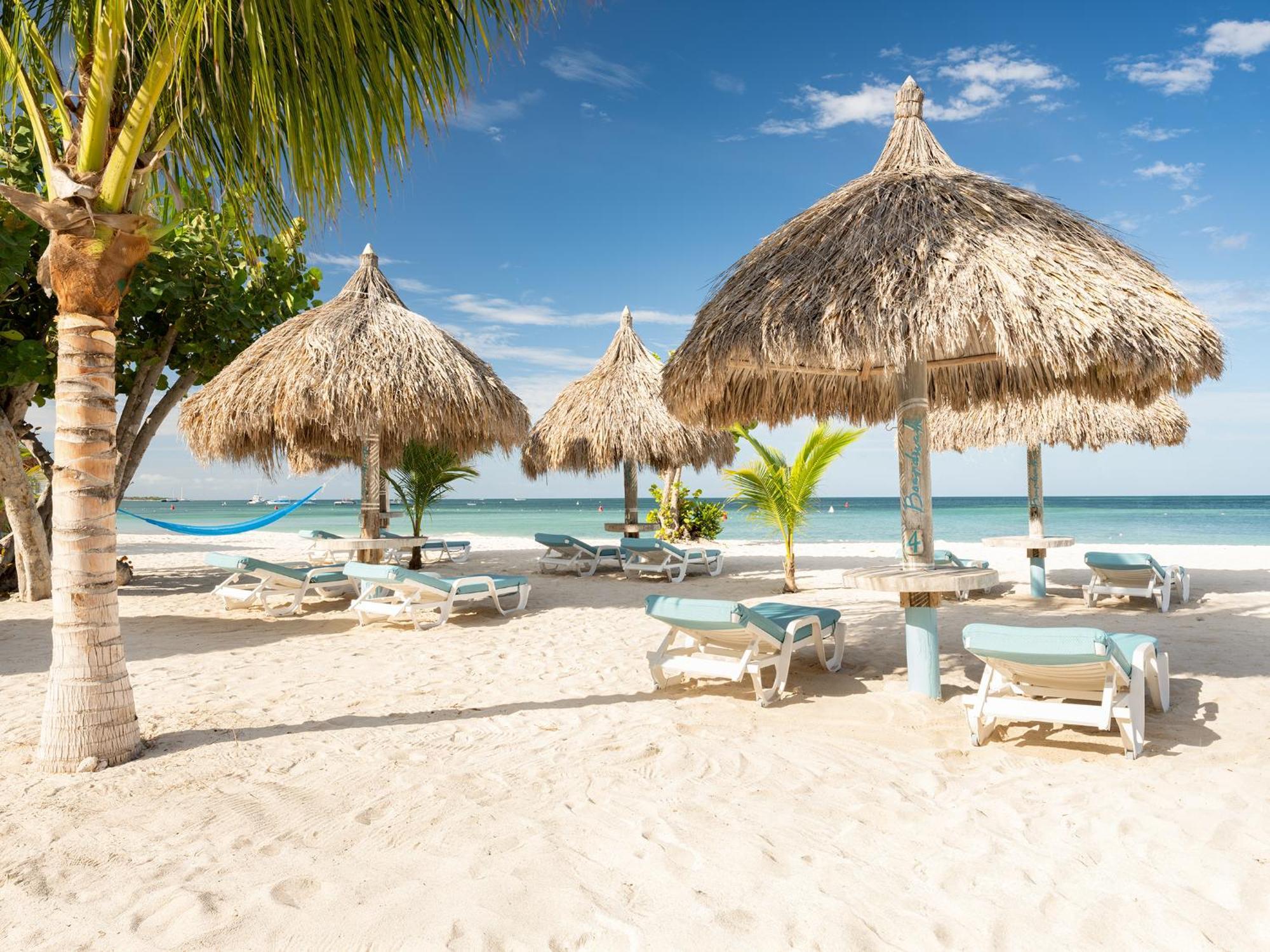 פאלם ביץ' Boardwalk Boutique Hotel Aruba - Adults Only מראה חיצוני תמונה